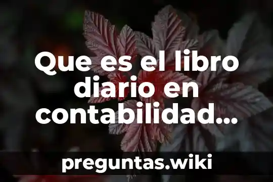 Que es el libro diario en contabilidad ejemplo