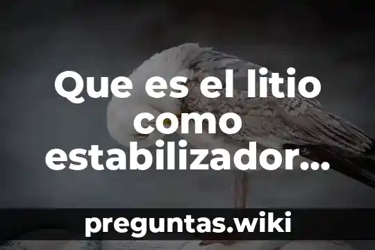 Que es el litio como estabilizador del animo