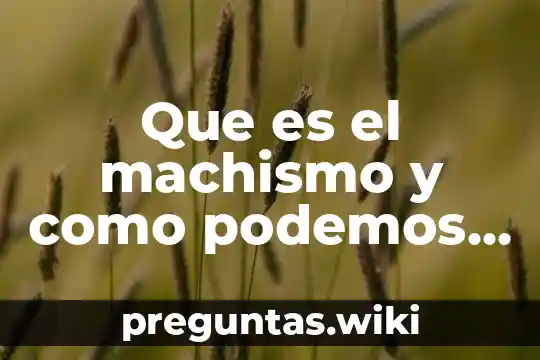 Que es el machismo y como podemos hacer para evitar
