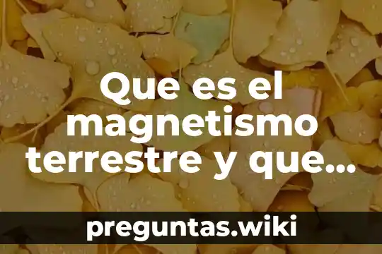 Que es el magnetismo terrestre y que capa lo genera