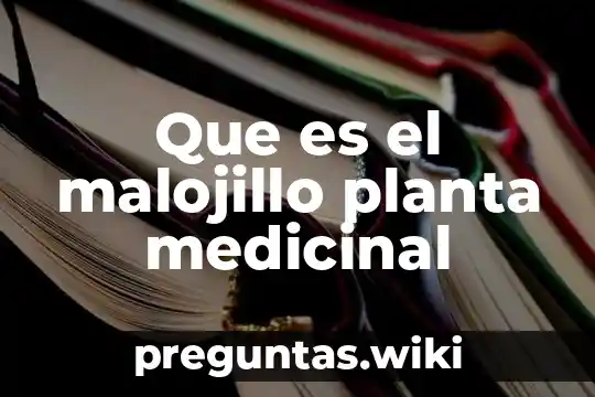 Que es el malojillo planta medicinal