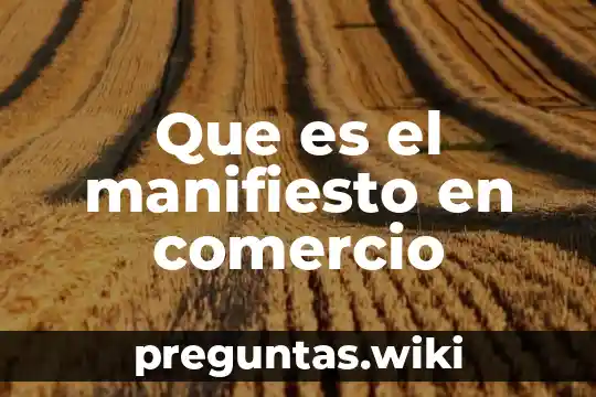 Que es el manifiesto en comercio
