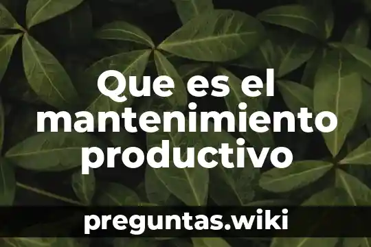 Que es el mantenimiento productivo
