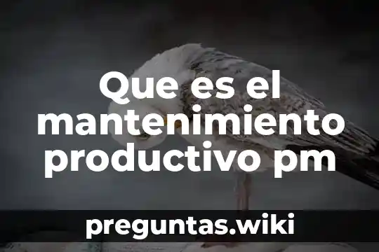 Que es el mantenimiento productivo pm