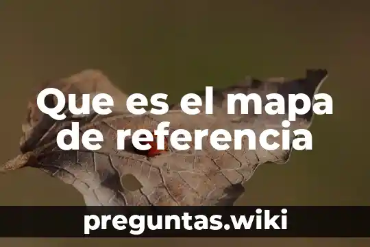 Que es el mapa de referencia
