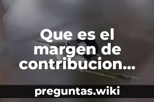 Que es el margen de contribucion variable