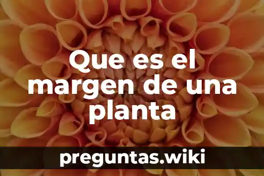 Que es el margen de una planta