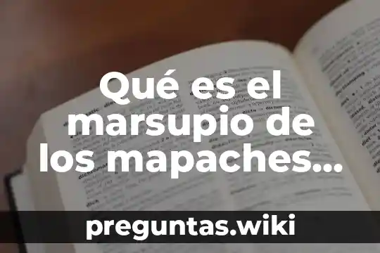 Qué es el marsupio de los mapaches mexicanos