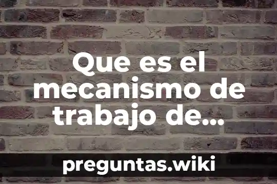 Que es el mecanismo de trabajo de parto