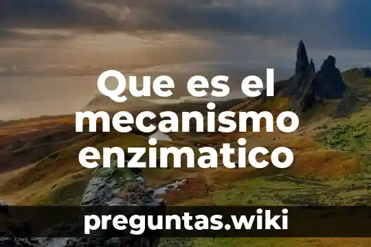 Que es el mecanismo enzimatico