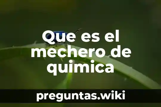 Que es el mechero de quimica