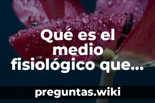 Qué es el medio fisiológico que transporta sangre con oxígeno