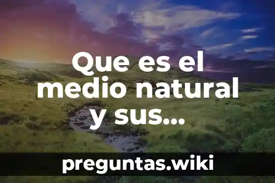 Que es el medio natural y sus elementos