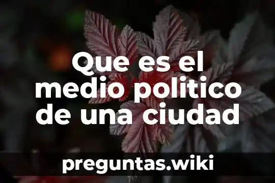 Que es el medio politico de una ciudad