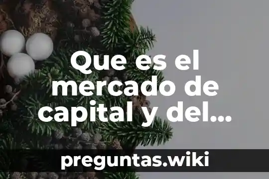 Que es el mercado de capital y del dinero