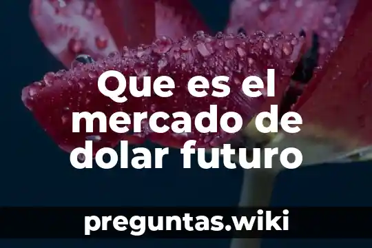 Que es el mercado de dolar futuro