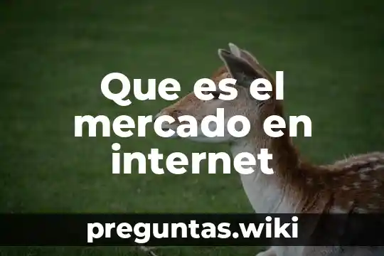 Que es el mercado en internet