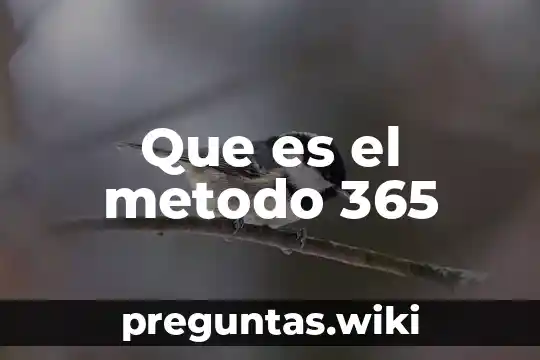 Que es el metodo 365