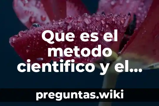 Que es el metodo cientifico y el metodo de empirico