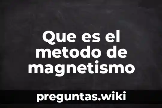 Que es el metodo de magnetismo