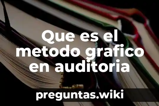 Que es el metodo grafico en auditoria