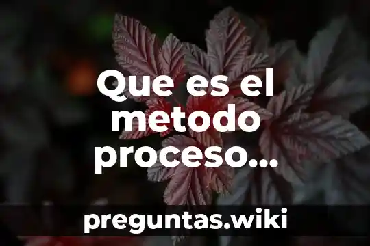 Que es el metodo proceso creativo de solucion de problemas