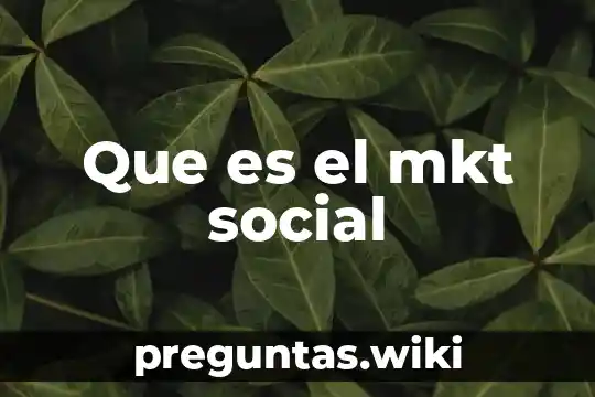 Que es el mkt social