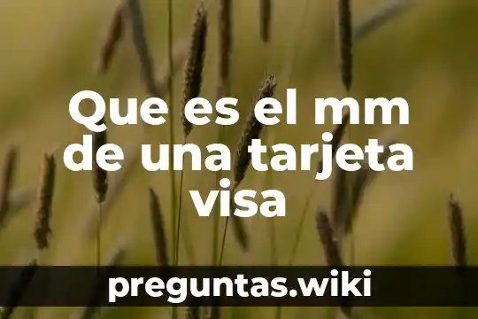 Que es el mm de una tarjeta visa