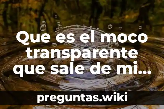 Que es el moco transparente que sale de mi vagina