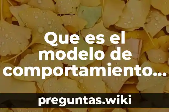 Que es el modelo de comportamiento en liderazgo