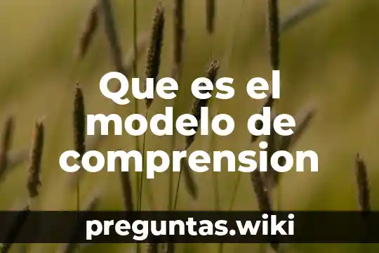Que es el modelo de comprension