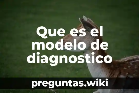 Que es el modelo de diagnostico