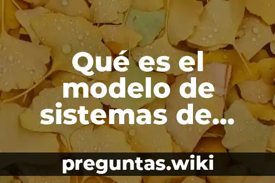 Qué es el modelo de sistemas de Betty Neuman