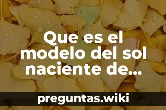 Que es el modelo del sol naciente de leininger
