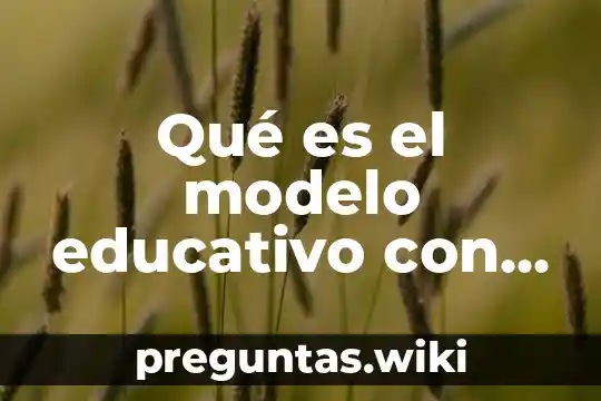Qué es el modelo educativo con autor