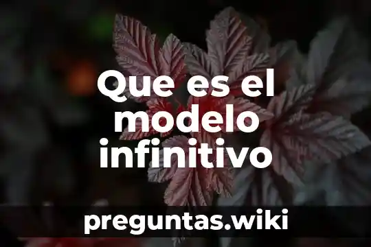 Que es el modelo infinitivo
