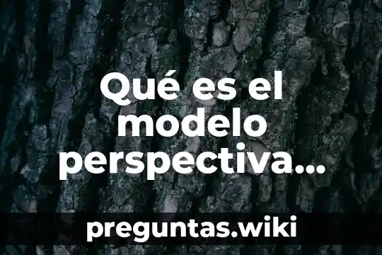 Qué es el modelo perspectiva conductual de sistemas