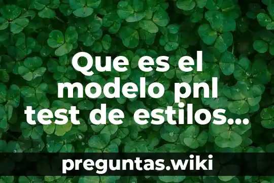 Que es el modelo pnl test de estilos de aprendizaje