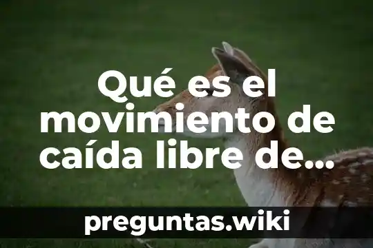 Qué es el movimiento de caída libre de los cuerpos