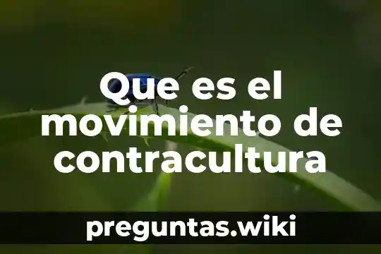 Que es el movimiento de contracultura
