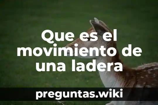 Que es el movimiento de una ladera