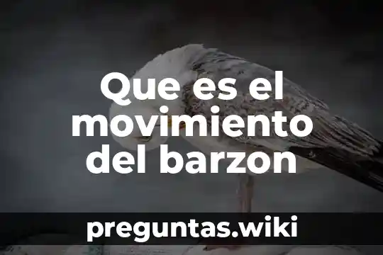 Que es el movimiento del barzon