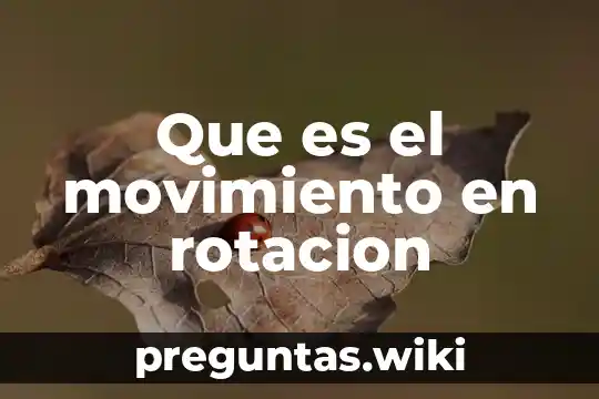 Que es el movimiento en rotacion