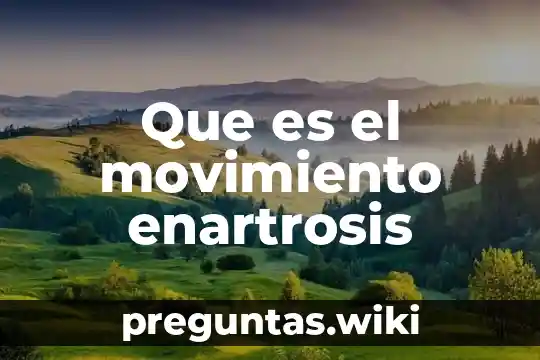 Que es el movimiento enartrosis