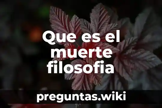 Que es el muerte filosofia