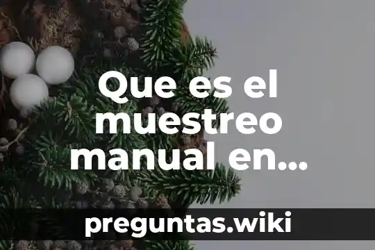 Que es el muestreo manual en quimica