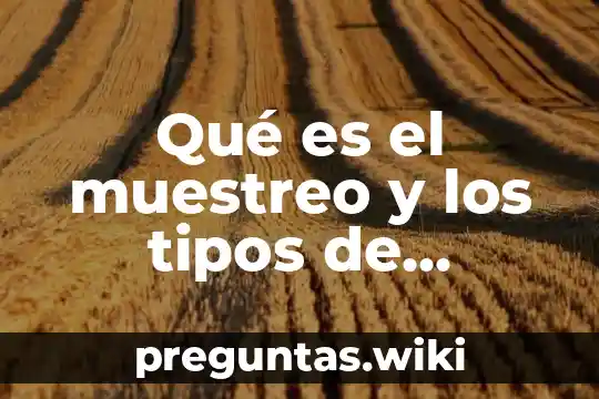 Qué es el muestreo y los tipos de muestreo