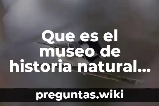 Que es el museo de historia natural y cultura ambiental