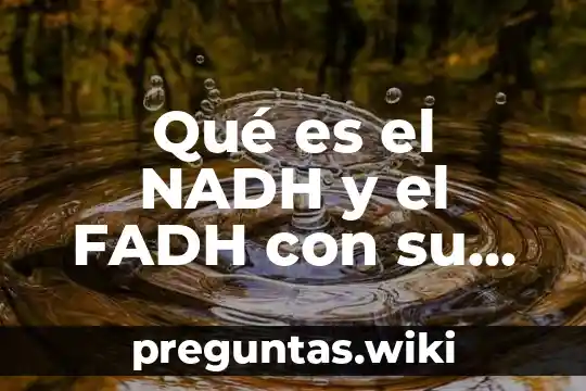 Qué es el NADH y el FADH con su función