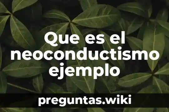 Que es el neoconductismo ejemplo